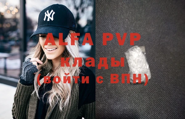спиды Михайлов