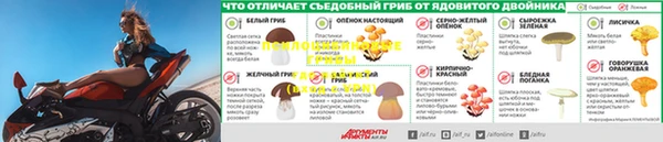 спиды Михайлов
