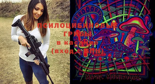 ALPHA-PVP Гусев