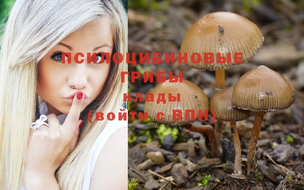 mdpv Михайловка