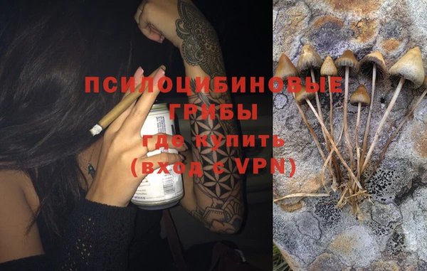 спиды Михайлов